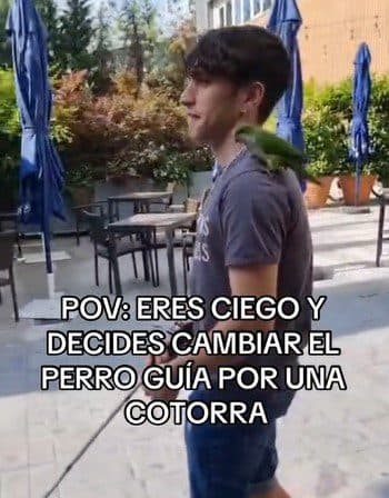 Influencer ciego usa un loro guía
