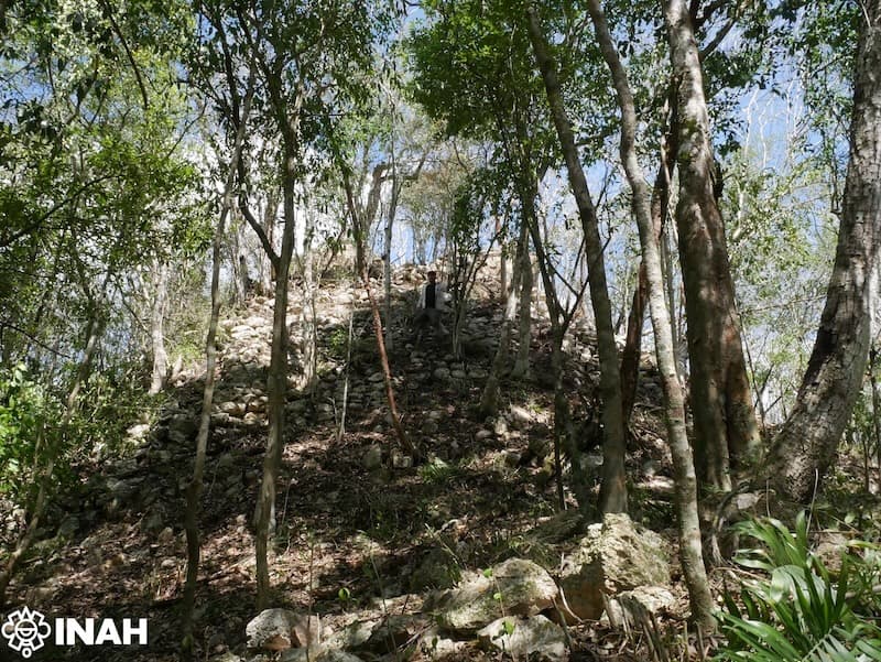 Antigua estructura maya cubierta de vegetación en la selva de Campeche, parte del hallazgo de la ciudad de Minanbé.