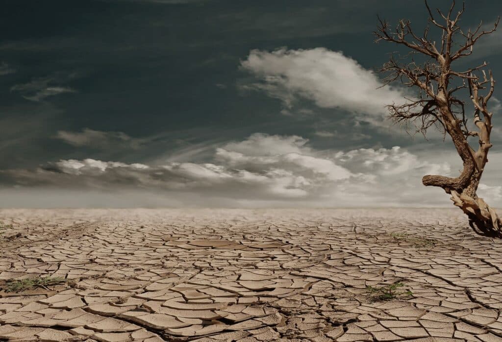 Terreno árido y agrietado bajo un cielo nublado, simbolizando las sequías extremas que podría provocar El Niño.