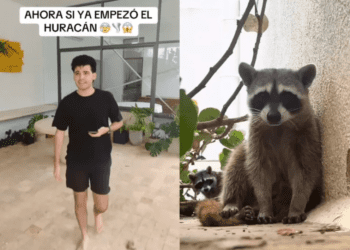 Joven prepara “arca de Noé” para proteger a sus animales