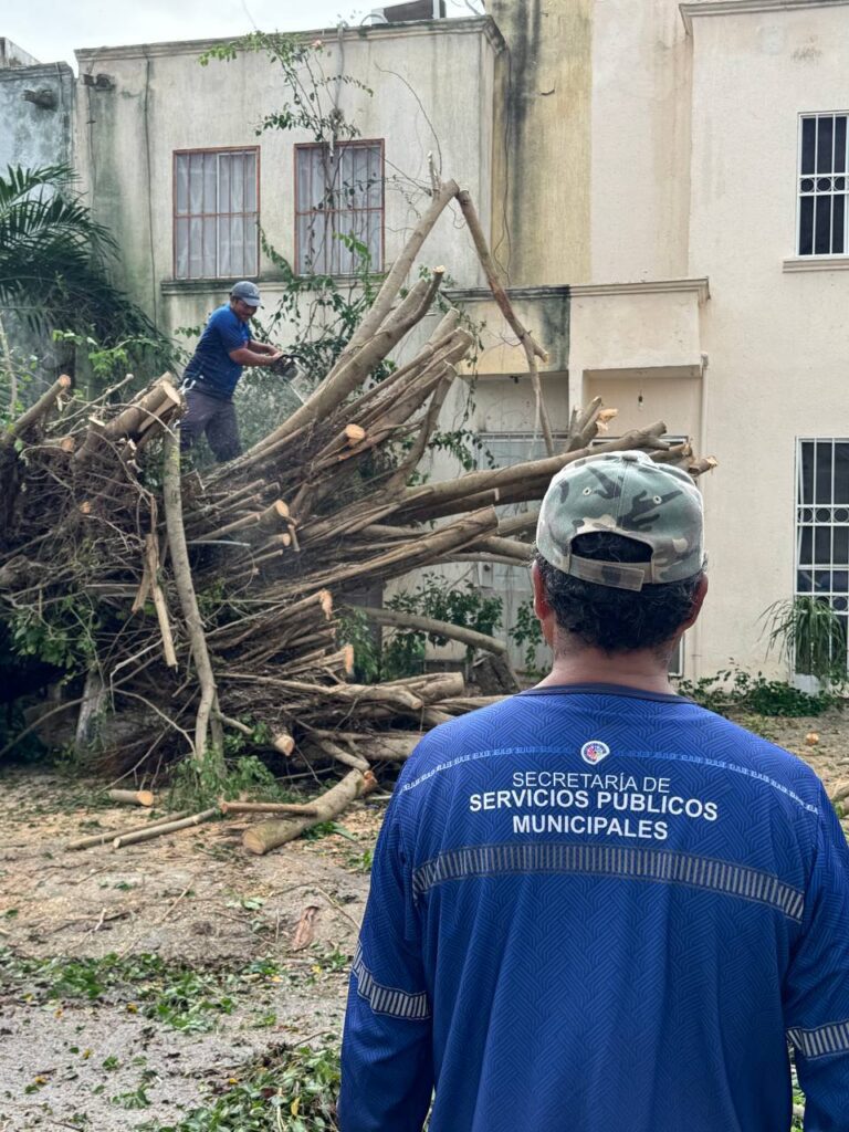 Solidaridad registra saldo blanco tras el paso de Beryl