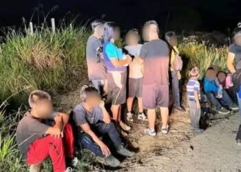 Polleros presentan ruta VIP hacia EU