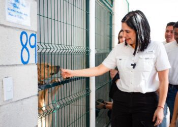El bienestar animal es un compromiso de todos; Estefanía Mercado presenta el proyecto “Rehabilitación del Centro de Control Animal, Asistencia y Zoonosis”