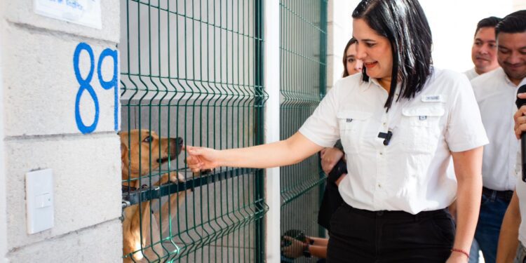 El bienestar animal es un compromiso de todos; Estefanía Mercado presenta el proyecto “Rehabilitación del Centro de Control Animal, Asistencia y Zoonosis”