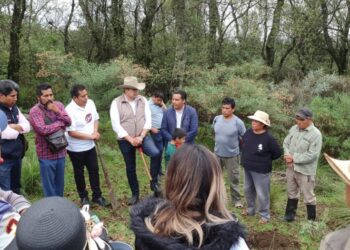 La industrialización del Cáñamo para el crecimiento sostenible y el cuidado del planeta impulsa Alejandro Armenta