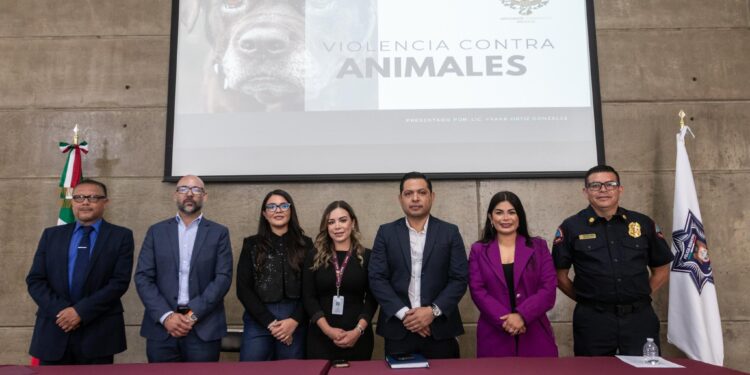 Coordina Gobierno Municipal capacitación sobre diferencias entre maltrato y crueldad animal